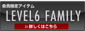 LEVEL6 FAMILY -�������-