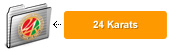 24Karats(24����å�)