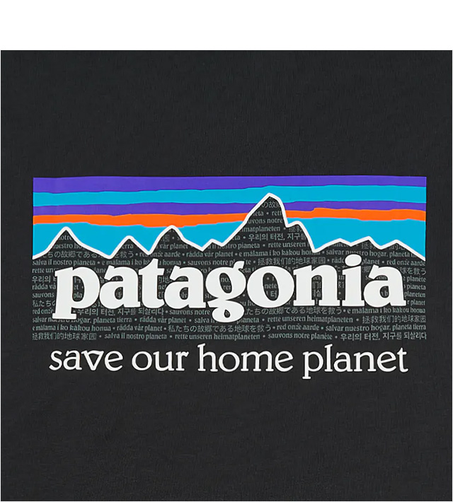 入試困難 USA製 Patagonia Tシャツ デカロゴ 半袖 レトロ 太陽
